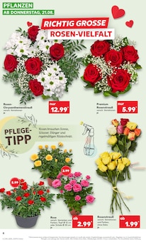 Blumen im aktuellen Kaufland Prospekt (Braunschweig) Blumen im Kaufland Prospekt "Aktuelle Angebote" mit 52 Seiten (Braunschweig)
