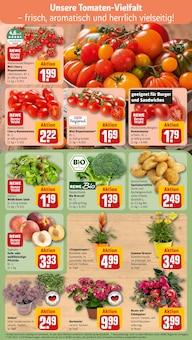 Pflanzen im REWE Prospekt "Dein Markt" mit 18 Seiten (Hannover)