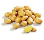 Pomme de Terre - Lidl à Drancy Pomme de Terre en promo chez Lidl Drancy à 0,49 €