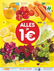 Blumen im aktuellen Netto Marken-Discount Prospekt (Cottbus) Blumen im Netto Marken-Discount Prospekt "Aktuelle Angebote" mit 65 Seiten (Cottbus)