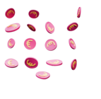 Pils im Angebot bei REWE in Niederzier Pils Angebote von Warsteiner bei REWE Niederzier für 10,99 €