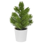 Topfpflanze, künstlich drinnen/draußen Weihnachtsbaum/grün im Angebot bei IKEA in Cuxhaven Topfpflanze, künstlich drinnen/draußen Weihnachtsbaum/grün Angebote von VINTERFINT bei IKEA Cuxhaven für 0,99 €