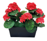 Jardinière en promo chez Maxi Bazar Aulnay-sous-Bois à 15,99 €