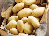 Pomme de terre de consommation - INTERMARCHÉ TERROIRS en promo à 2,09 € chez Intermarché Super Pomme de terre de consommation - INTERMARCHÉ TERROIRS dans le catalogue Intermarché Super