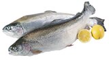 Aktuelles Forelle Angebot bei REWE in Jena ab 1,49 €