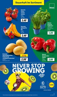 Tomaten im aktuellen Lidl Prospekt (Ulm) Tomaten im Lidl Prospekt "LIDL LOHNT SICH" mit 68 Seiten (Ulm)