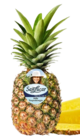 Kaufland Beberstedt - Costa-rican. Ananas Angebot im Prospekt Costa-rican. Ananas bei Kaufland im Beberstedt Prospekt für 2,49 €