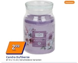 Duftkerze von Candra im aktuellen Action Prospekt für 2,99 €