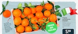 Frische sizilianische Orangen Angebote bei Lestra Bremerhaven für 5,99 €