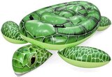 Aktuelle Luftbett Angebote bei Thomas Philipps in Mannheim Aktuelles Luftmatratze "Turtle" Angebot bei Thomas Philipps in Mannheim ab 9,98 €
