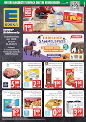 Aktueller Marktkauf Discounter Prospekt in Boren und Umgebung, "Top Angebote" mit 44 Seiten, 18.08.2025 - 23.08.2025