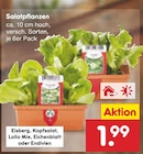 Netto Marken-Discount Grafing (München) Prospekt mit  im Angebot für 1,99 €