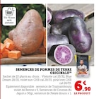 Semences de pommes de terre originale en promo chez Super U Strasbourg à 6,90 €