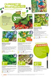 Prix et réduction Kiwi dans le prospectus Jardiland en cours Offre Kiwi dans le catalogue Jardiland du moment à la page 4