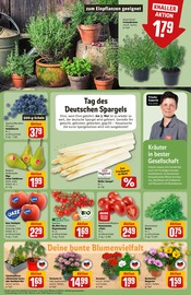 Ähnliche Angebote wie Veilchen im Prospekt "Dein Markt" auf Seite 7 von REWE in Chemnitz
