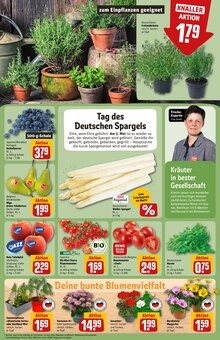 Gartenpflanzen im REWE Prospekt "Dein Markt" mit 36 Seiten (Chemnitz)