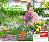 Angebot im ZG Raiffeisen Donaueschingen Prospekt ZG Raiffeisen Donaueschingen Prospekt mit im Angebot für 8,99 €