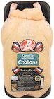 Promo Canette Fermière IGP Label Rouge à 10,99 € dans le catalogue Intermarché à Dannemarie-sur-Crête