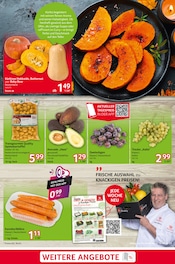 Ähnliche China Böller Angebote im Prospekt "cash & carry" von Selgros in Reutlingen Ähnliche Angebote wie China Böller im Prospekt "cash & carry" auf Seite 3 von Selgros in Reutlingen
