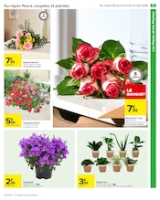 Fleurs Angebote im Prospekt "Carrefour" von Carrefour Fleurs Angebote im Prospekt "Carrefour" von Carrefour auf Seite 19