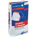 Colle placol sac 25 kg prise rapide 2 heures pour assemblage carreaux cloison en promo chez Brico Dépôt Montpellier à 20,90 €