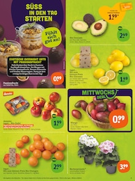 tegut Mango im Prospekt 