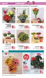 Promos Plantes dans le catalogue "Halloween À PRIX BAS" de Super U Plantes en promo dans le catalogue Super U à la page 32