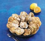 Huitres Speciales de Normandie IGP - U SAVEURS en promo chez U Express Vénissieux à 11,50 €