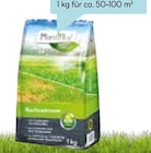 Nachsaatrasen 250 g für 5,79 € bei Hellweg im Angebot Nachsaatrasen 250 g im aktuellen Hellweg Prospekt