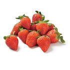 Lidl Gardanne - Promo Fraise Promo Fraise à 2,49 € dans le catalogue Lidl à Gardanne