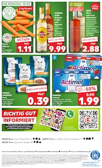 Katzenfutter im aktuellen Kaufland Prospekt (Trier) Katzenfutter im Kaufland Prospekt "KNÜLLER" mit 66 Seiten (Trier)