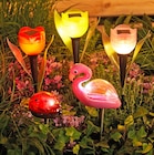 Solarstecker mit Tierfigur Angebote bei Penny Pirmasens für 1,49 €