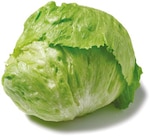 Netto mit dem Scottie Struppen - Eisbergsalat Angebot im Prospekt Eisbergsalat bei Netto mit dem Scottie im Struppen Prospekt für 0,75 €
