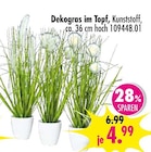SB Möbel Boss Braunschweig - Dekogras im Topf Angebot im Prospekt Dekogras im Topf bei SB Möbel Boss im Braunschweig Prospekt für 4,99 €