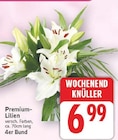 Premium-Lilien im aktuellen E center Prospekt