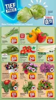Pflanzen im aktuellen REWE Prospekt (Dortmund) Pflanzen im REWE Prospekt "Dein Markt" mit 30 Seiten (Dortmund)