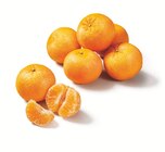 Bio Mandarinen/Clementinen im aktuellen Prospekt bei Lidl in Nalbach