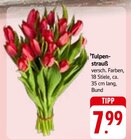 Tulpenstrauß Angebote bei E center Villingen-Schwenningen für 7,99 €