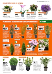 OBI Pflanztopf im Prospekt 