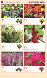 Promos Chrysanthèmes dans le catalogue "Intermarché" de Intermarché Hyper Chrysanthèmes en promo dans le catalogue Intermarché Hyper à la page 2