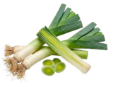 Porree für 0,79 € bei EDEKA im Angebot Porree im aktuellen EDEKA Prospekt