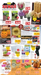 Aktueller Jawoll Discounter Prospekt fĂŒr Sulingen 12.10.2026 - 17.10.2026 Jawoll Prospekt fĂŒr Sulingen mit 12 Seiten