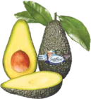 Avocados im V-Markt Prospekt Avocados von im aktuellen V-Markt Prospekt für 1,99 €