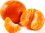 Mandarinen/Clementinen im Lidl Prospekt Mandarinen/Clementinen von im aktuellen Lidl Prospekt für 1,49 €