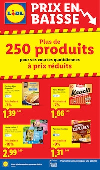 Promo Harvest Basket dans le catalogue Lidl du moment à la page 14