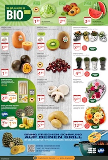 Kiwi im aktuellen GLOBUS Prospekt (Leipzig) Kiwi im GLOBUS Prospekt "Aktuelle Angebote" mit 33 Seiten (Leipzig)