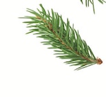 Avocado-Öl im Angebot bei Lidl in Würzburg Avocado-Öl Angebote von Deluxe bei Lidl Würzburg für 4,49 €