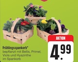 E center Hammelburg Prospekt mit  im Angebot für 4,99 €