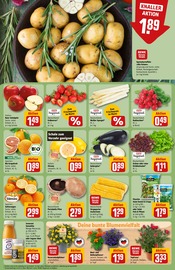 Ähnliche Angebote wie Blumenzwiebeln im Prospekt "Dein Markt" auf Seite 10 von REWE in Waiblingen