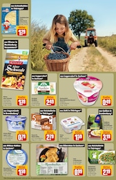 Alt Angebot im aktuellen REWE Prospekt auf Seite 29